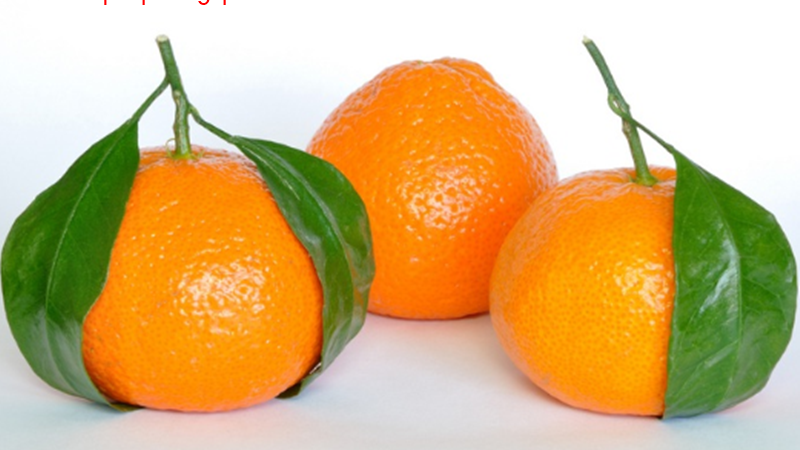 17 Arti Mimpi Tentang Buah Jeruk Keprok Menurut Primbon Jawa Dan Islam -  Buku Mimpi