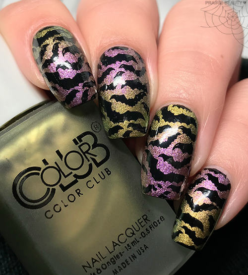 12 Nails Of Halloween Alternating Gradient Bat Nails Prairie Beauty