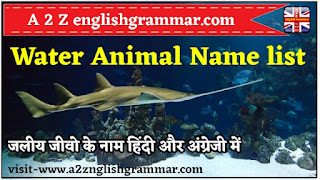 Water Animals Name In list in Hindi and English