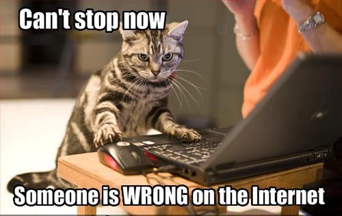 Can't+stop+now+someone+is+wrong+on+the+internet.jpg