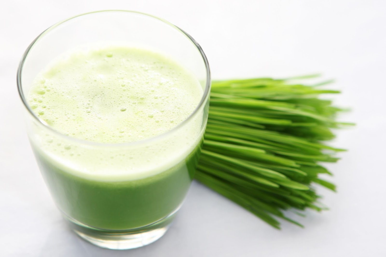 The Best Electric Wheatgrass Juicer The Benefits of Wheatgrass Juicing