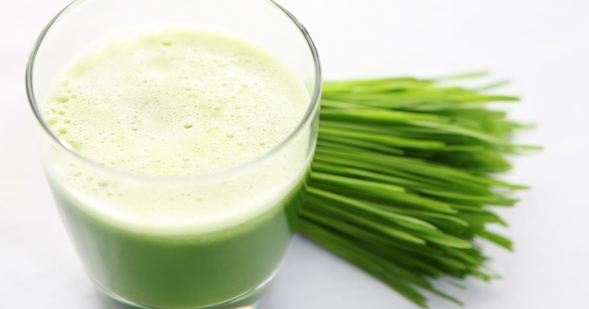 The Best Electric Wheatgrass Juicer The Benefits of Wheatgrass Juicing
