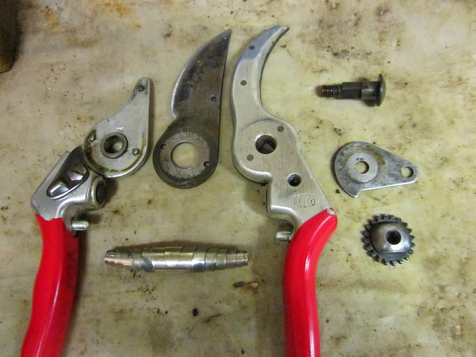 The Thrifty Gardener Hand Pruner Maintenance 101