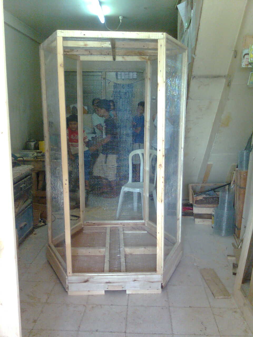 Bird In Everything Building A Bird Cage Plans