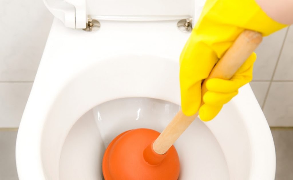 how to unclog a toilet with poop still in it how to unclog a toilet