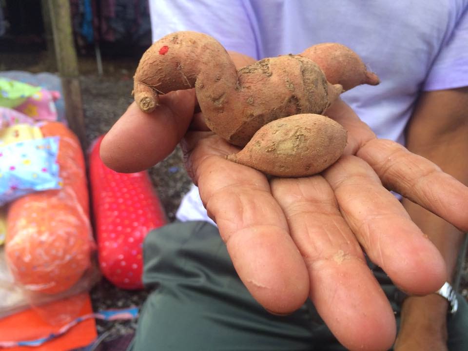 40+ Gambar Kartun Anak Itik Pictures | Blog Garuda Cyber