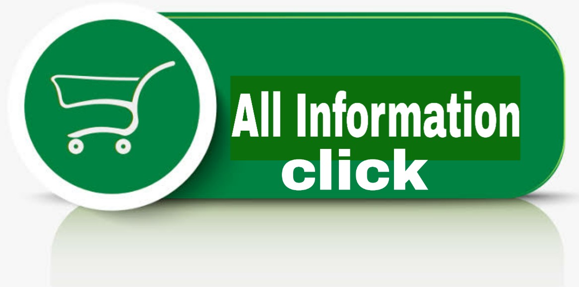 Nikon D3500 DXFormat DSLR Two Lens Kit with AFP DX Cyber Baba deals