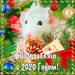 Восхитительная открытка с Новым годом мыши и крысы 2024. Бесплатные, красивые живые новогодние открытки в год мыши
