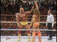 Hogan+Warrior+4.gif