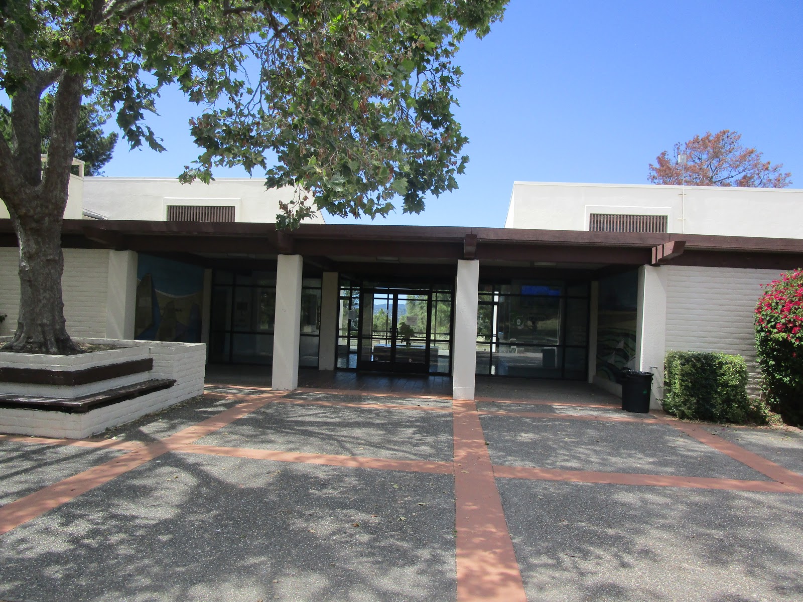 Adventures in Weseland San Felipe Park