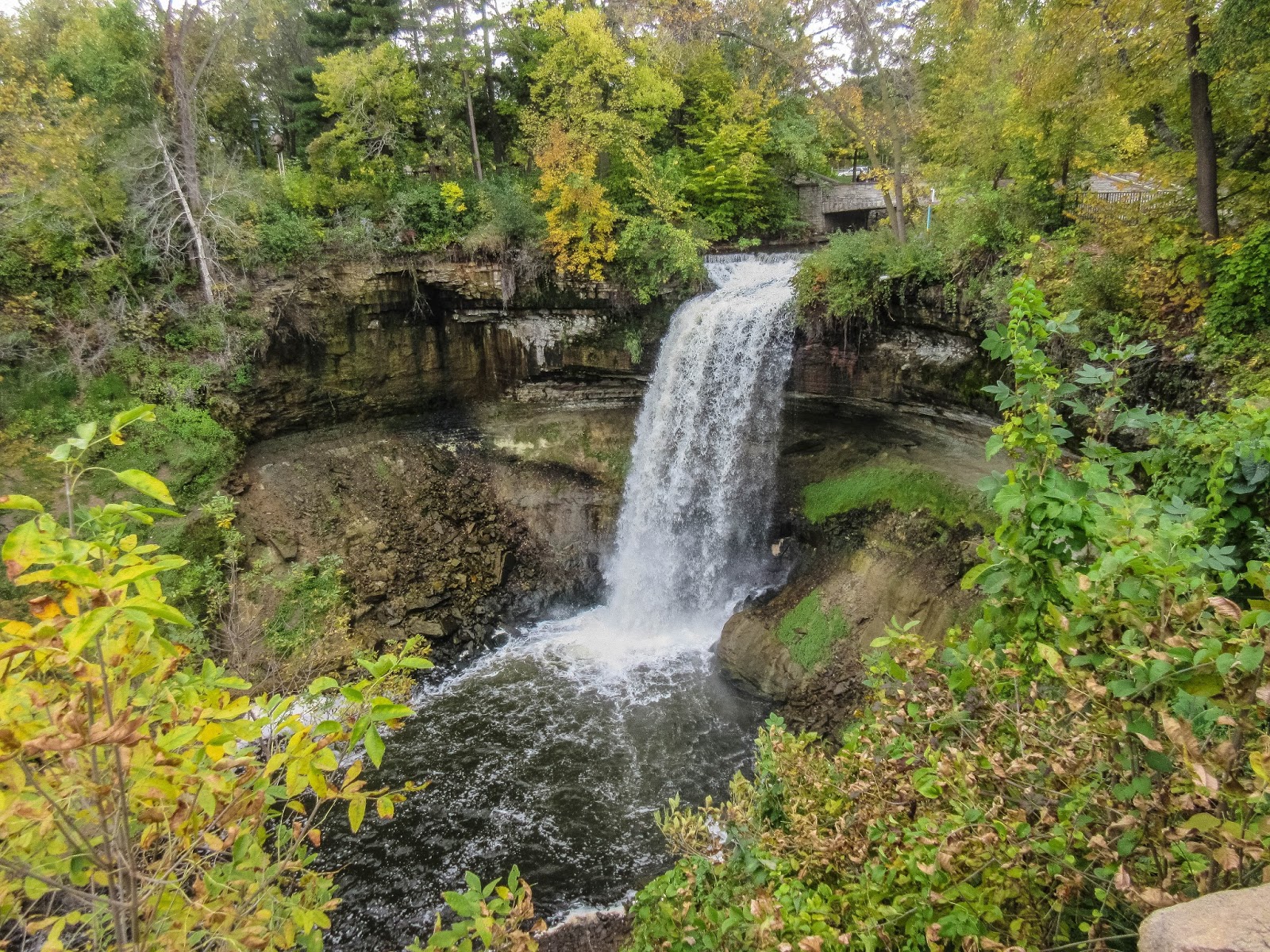 Cannundrums Sea Salt Eatery Minneapolis