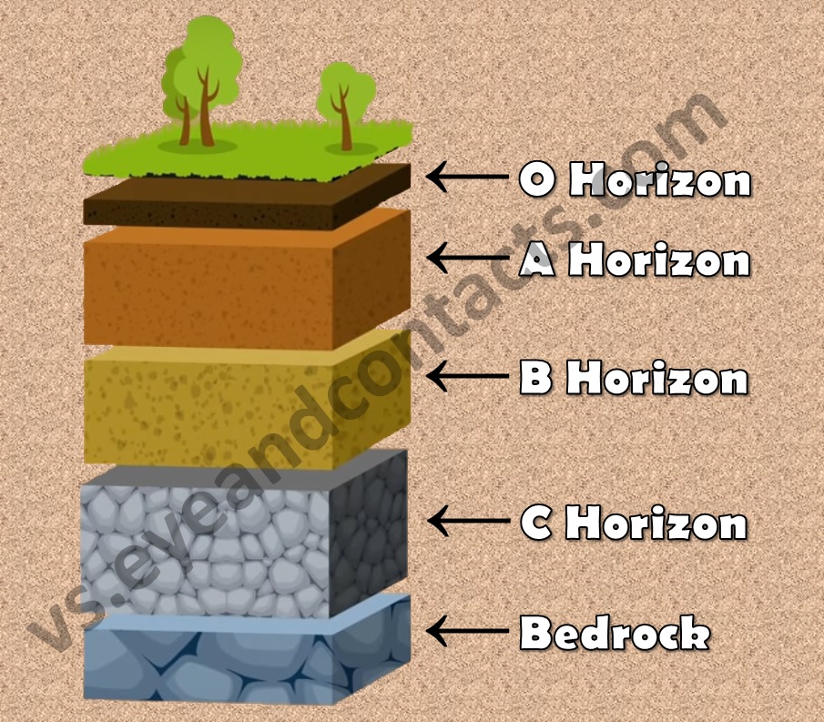 Different Layers Of Soil