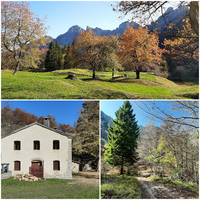 sentiero dei grandi alberi recoaro mille