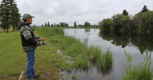 89 Arti Mimpi Mancing Ikan Kakap di Rawa dan Empang
