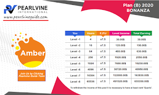 Pearlvine Bonanza 2020 - Amber Auto Pool Income Chart