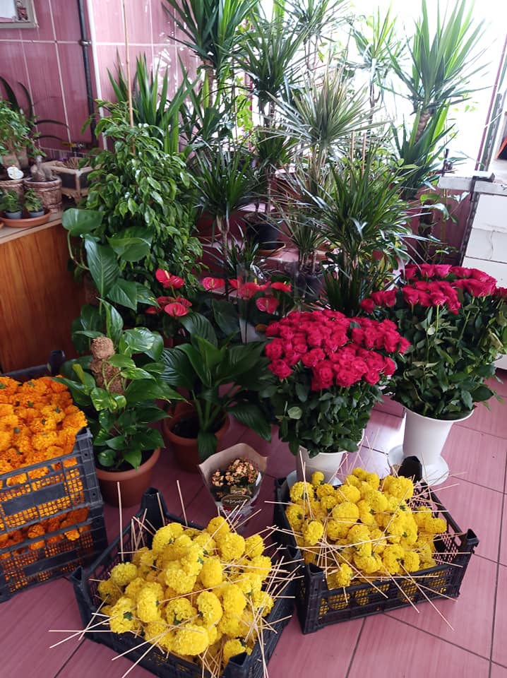 Ankara Ulus Onur Çiçekçilik