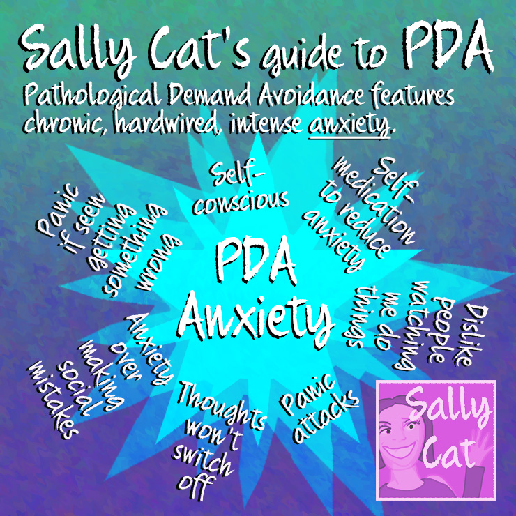 Sally Cat PDA December 2018