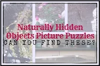 Naturally Hidden Objects Picture Puzzles