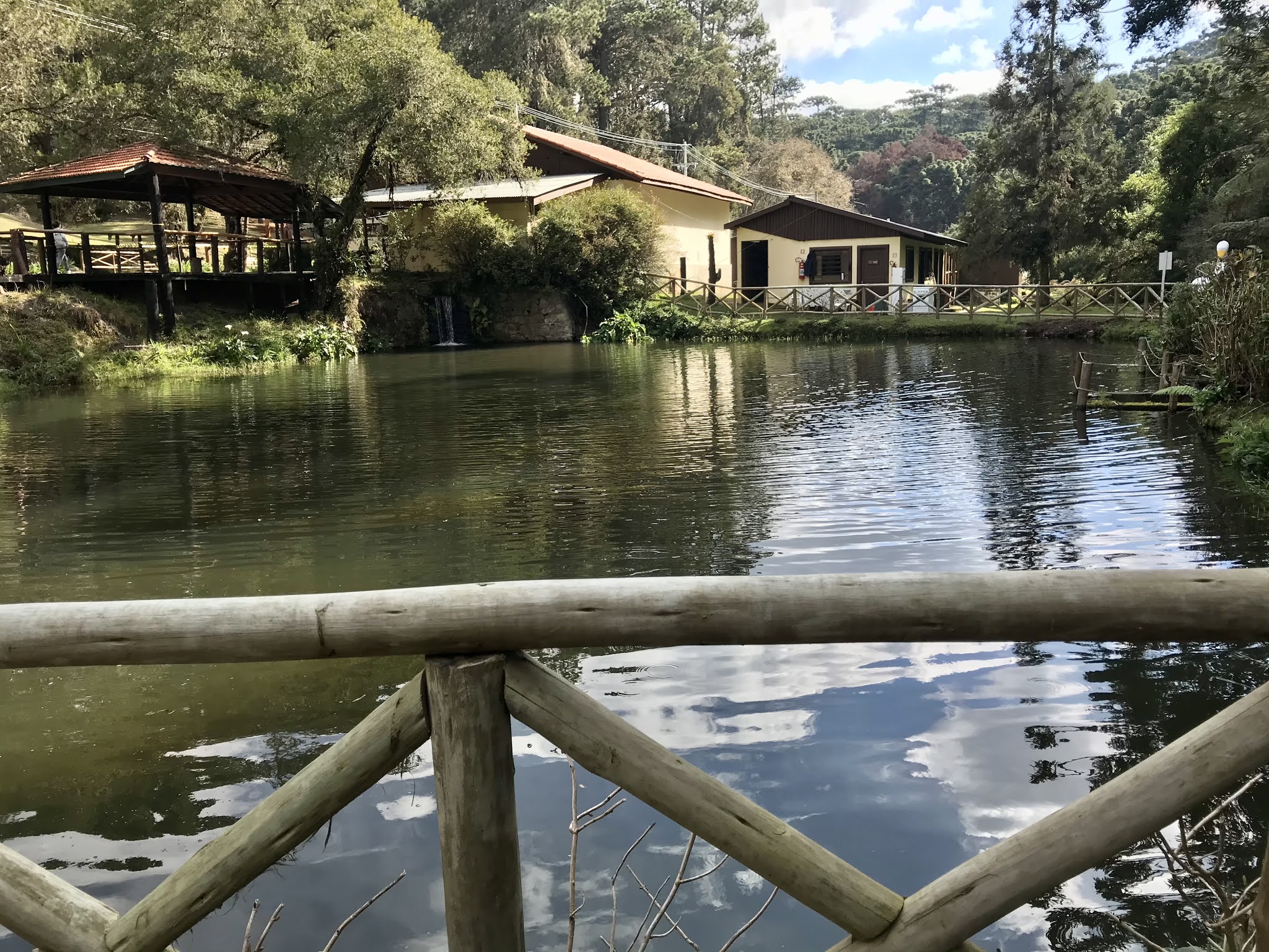 Parque Estadual Campos do Jordão (SP)