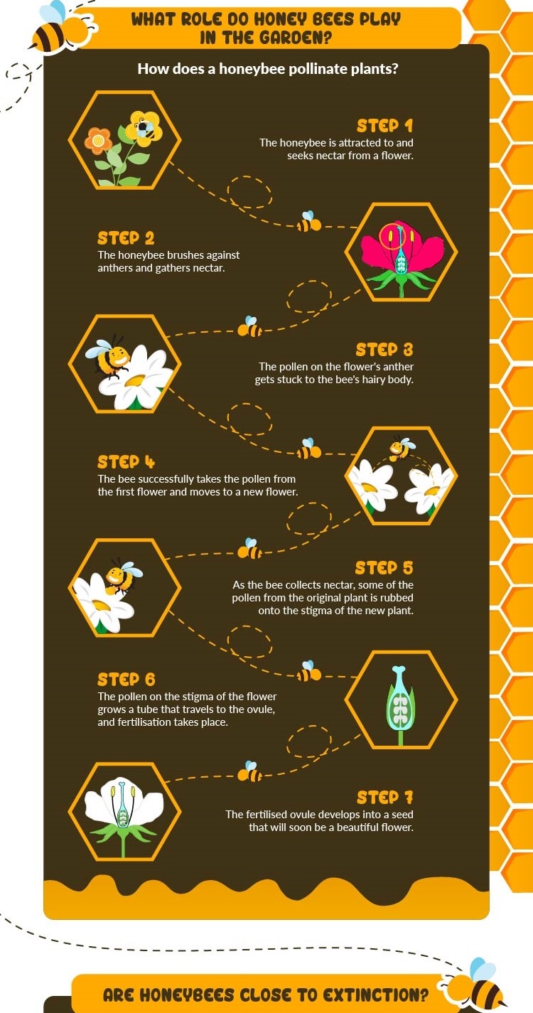 The Importance Of Honey Bees The Diary Of A Jewellery Lover