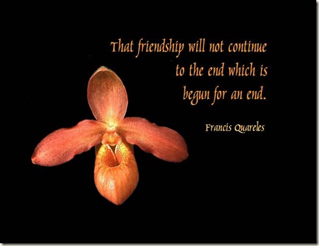 friendship_quote_08