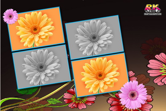 four frame photo album sheet, abstract flower background 