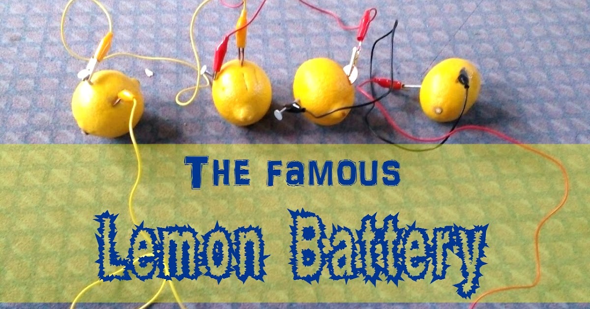 a muslim homeschool World famous lemon battery experiement