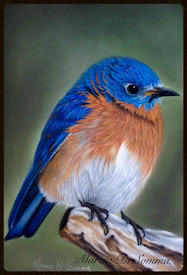 Pastello *blue bird*