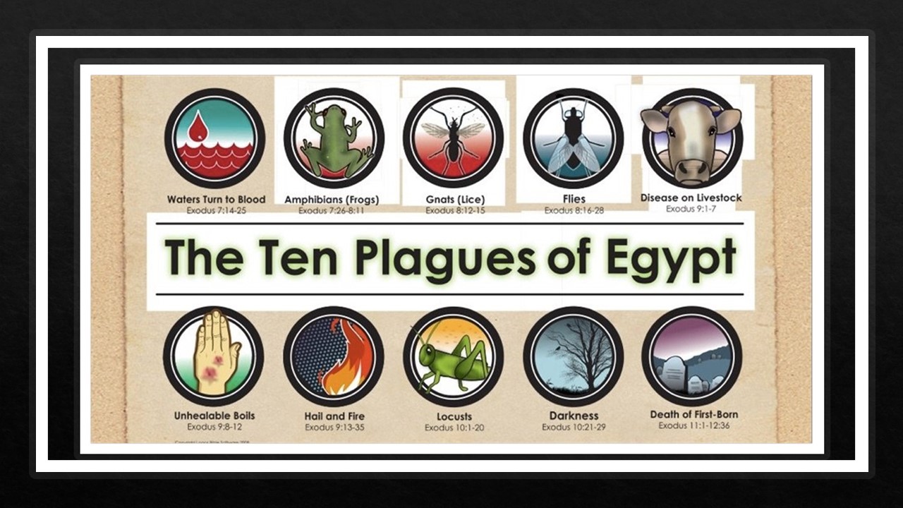 Pastor Chris' Blog: The Ten Plagues of Egypt, Plague 9
