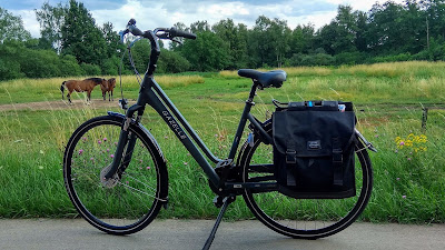 Picture of a Gazelle bicycle with panniers, and two horses behind.