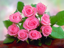 roses pink lovely rose flowers feel flower gorgeous garden artline creation arranged beautifully phone better
