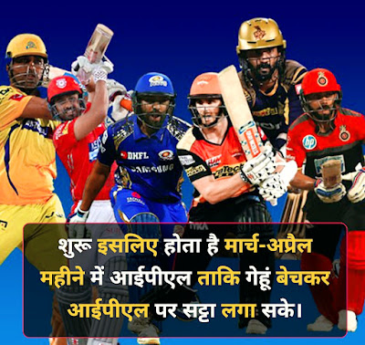 Ipl Funny Shayari