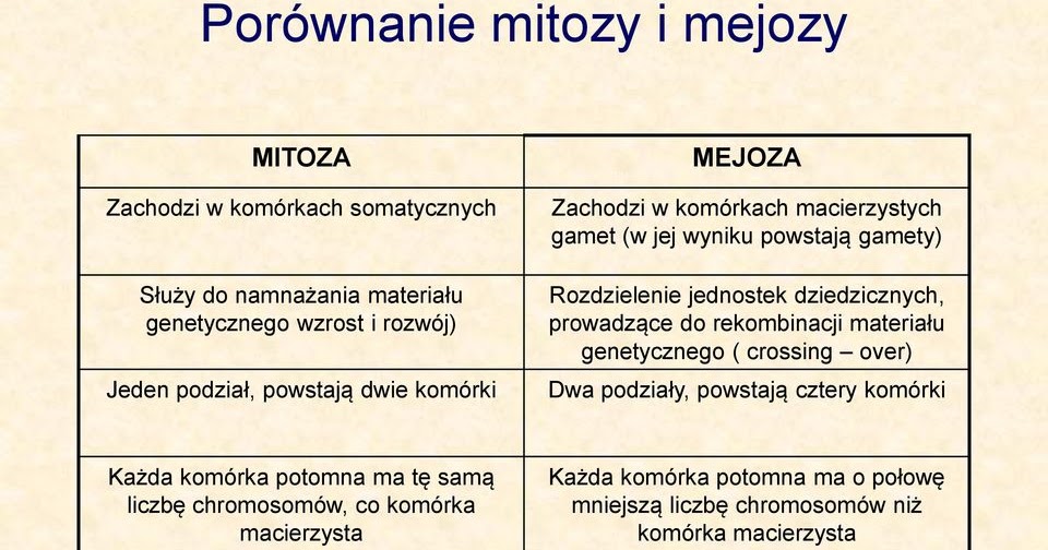 Kartkówka Biologia Klasa 8 Mitoza I Mejoza KOŁO BIOLOGICZNE: Podziały komórkowe- mitoza i mejoza- powtórzenie