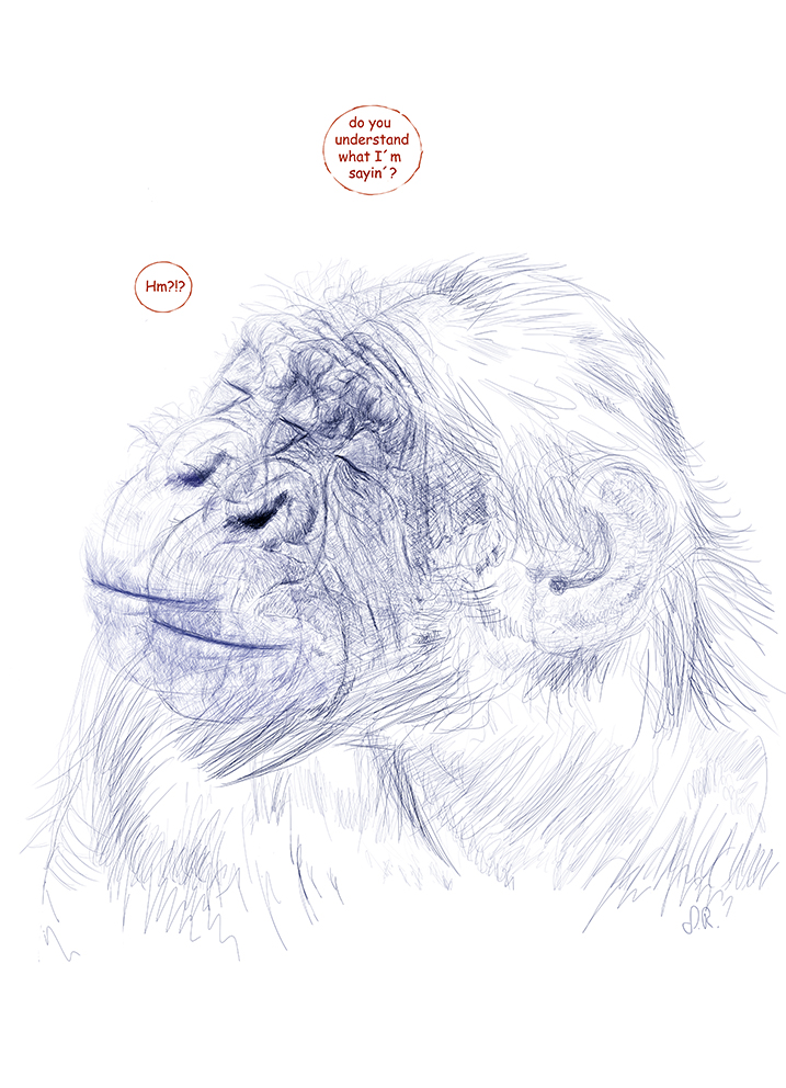 Der Samstag Bei Kulturpur27 Kulturpur