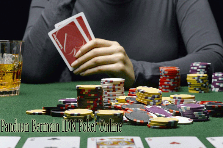 Panduan Bermain IDN Poker Online