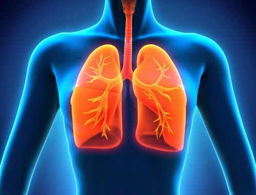 Cómo limpiar los pulmones naturalmente | vida