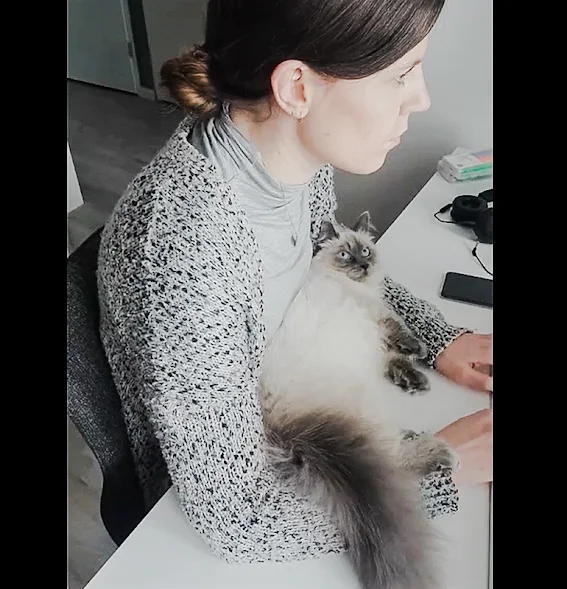 Cat prefers to lie down close to owner who is at the computer (cute video)