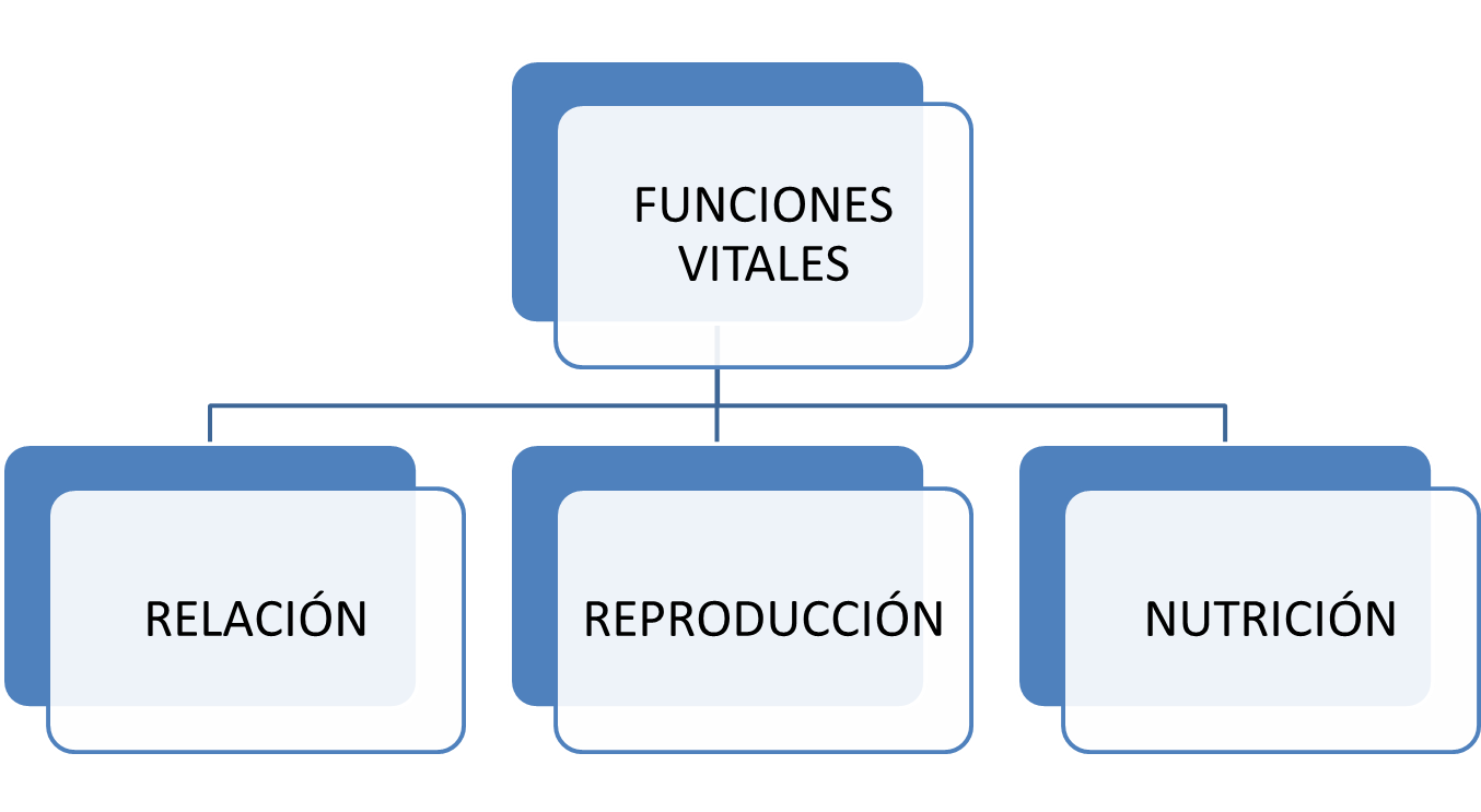 разделы государственного кадастра недвижимости