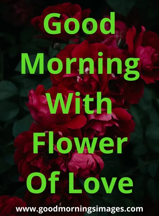 Good Morning Images cute Good Morning Images cute
