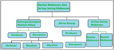 peta pikiran Rantai Makanan dan Jaring-Jaring Makanan www.simplenews.me