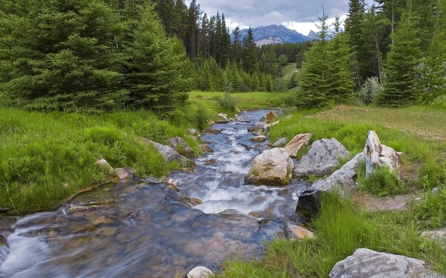 Explorations In Faith Give Said The Little Stream explorations-in-faith-give-said-the-little-stream