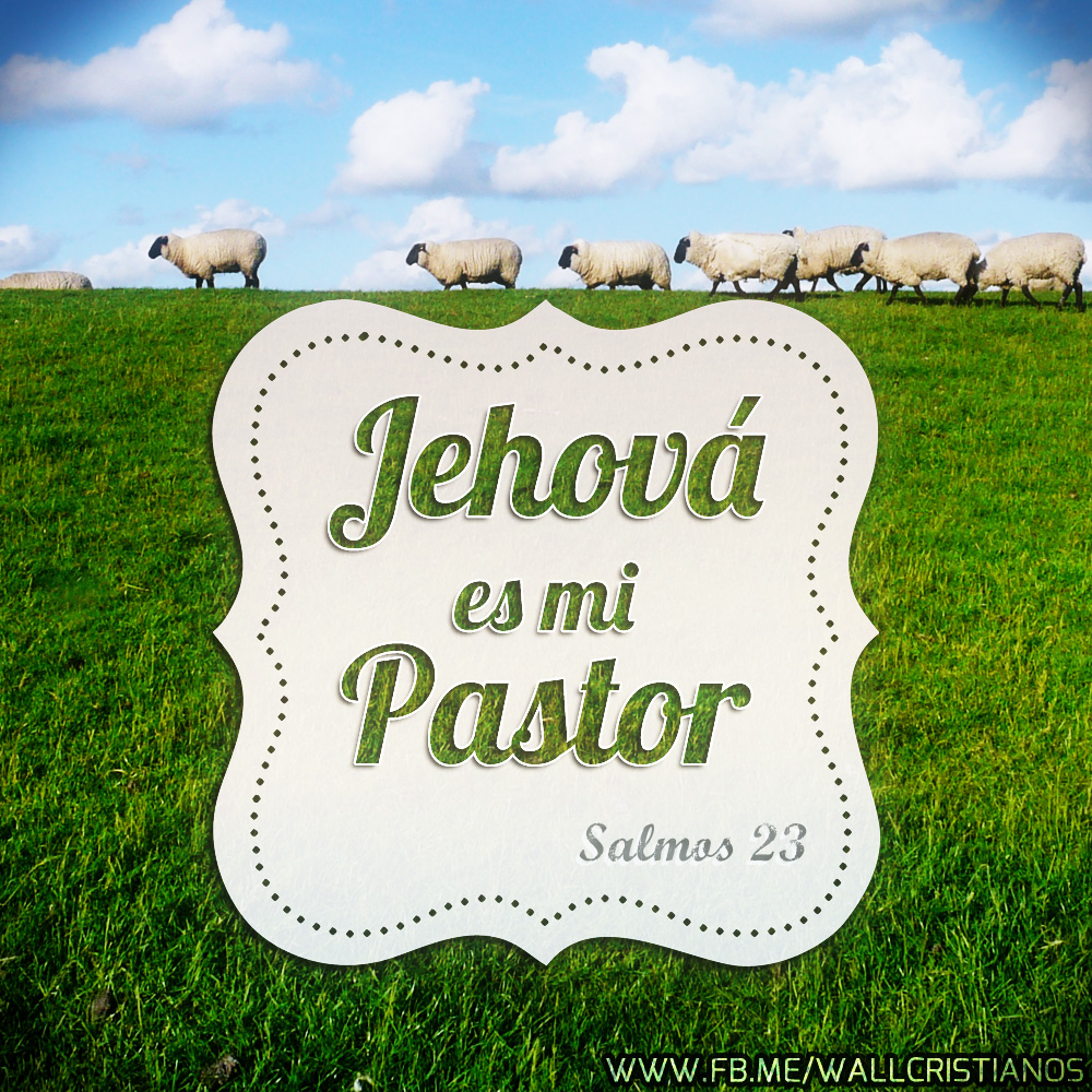 mi pastor meaning mi pastor meaning
