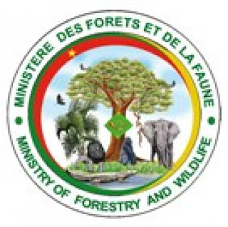 Résultats ENEF Mbalmayo 2020