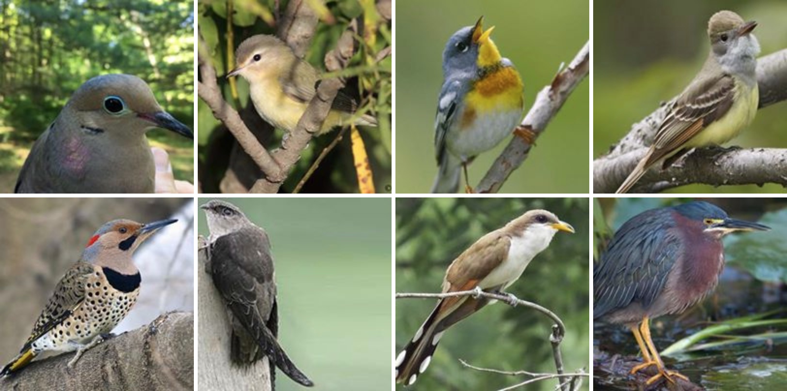 PA Environment Digest Blog Pocono Heritage Land Trust To Merge With