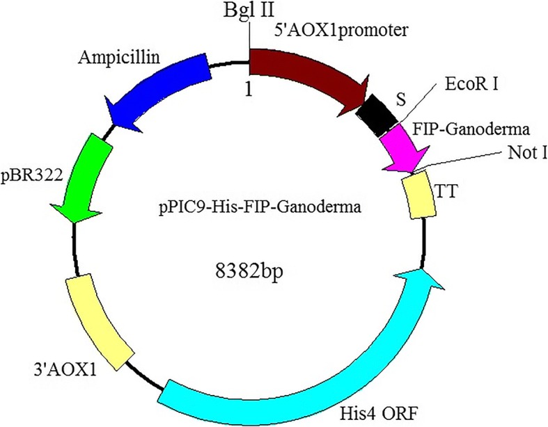 Expression and Bioactivity Comparison of Four Typical