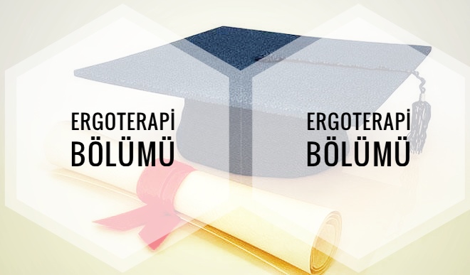 esit agirlikli programlar bolumu nedir