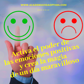 www.academiavidaoptima.com