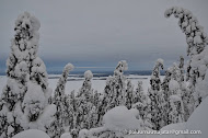 KOLI 2/2018