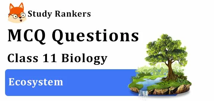 MCQ Questions for Class 12 Biology: Ch 14 Ecosystem