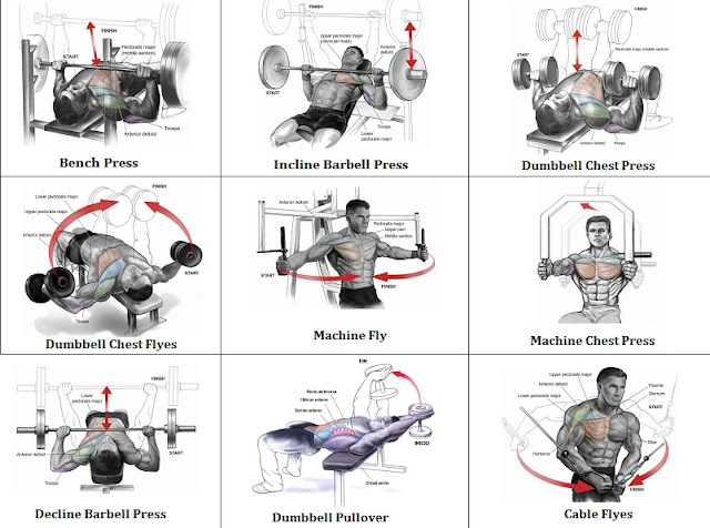 Best Workout Chest Routine Exercise Your Chest Once a
